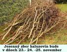 zber haluzovín